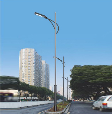 1742826552130999.jpg 天峻LED路灯.jpg